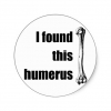 humerus